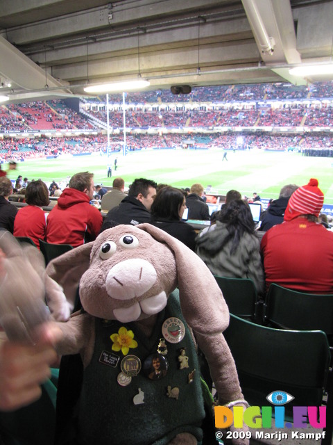 SX10786 Hutch at rugby Wales vs Argentina in Millennium stadium